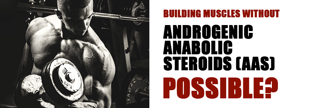 Bodytech, Steroid, anabolic, steroid cycle, beginer steroid 